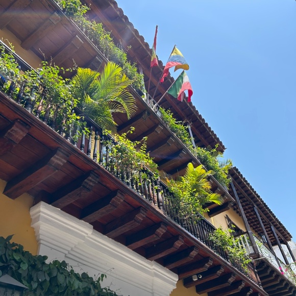 Posh - Picture 2 of 2